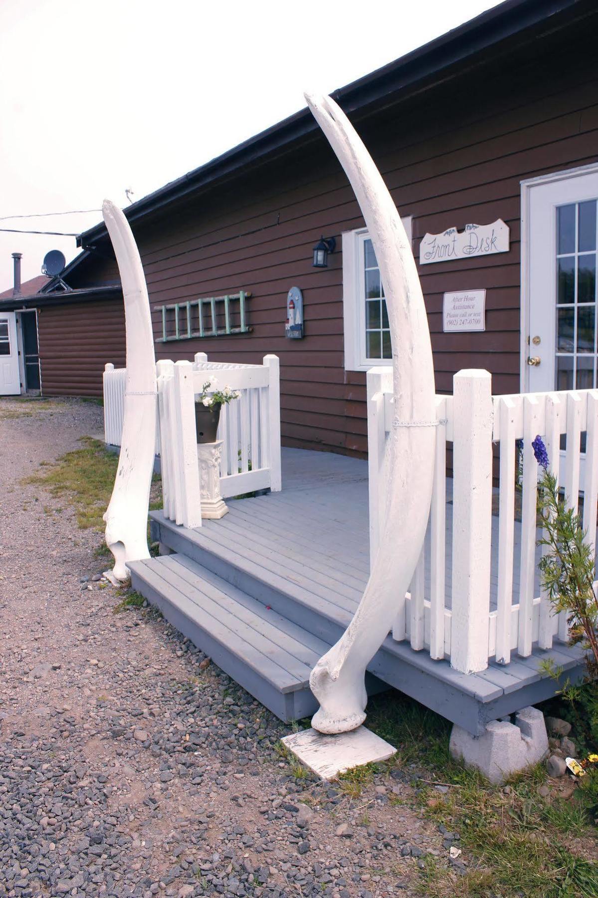 Brier Island Lodge Westport Zewnętrze zdjęcie